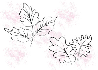 Elegant Line Art Leaves Botanical Illustration with Pink Watercolor Splashes