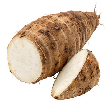 Whole malanga root isolated on a transparent background