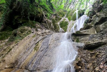 Panorami nontagnia alberi cascata natura 