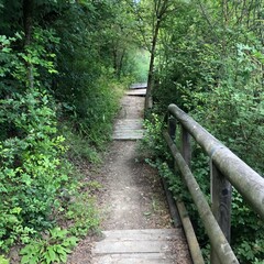 Panorami nontagnia alberi cascata natura