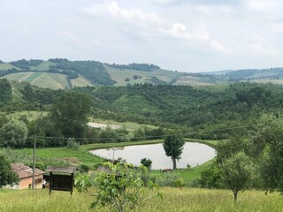 Panorami nontagnia alberi cascata natura