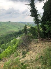 Panorami nontagnia alberi cascata natura