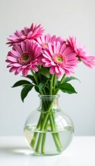 Obraz premium Pink asters in clear round vase, white backdrop, decoration, bright