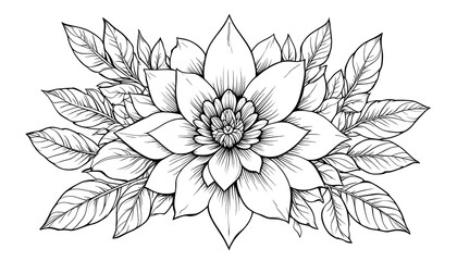 Fototapeta premium Black and White Flower Drawing with Leaves