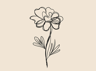 Elegant Minimalist Line Art Flower Drawing Botanical Illustration