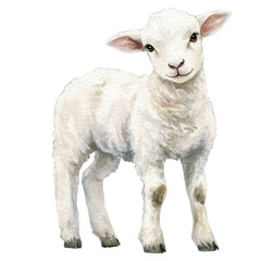 A watercolor lamb image on transparent background