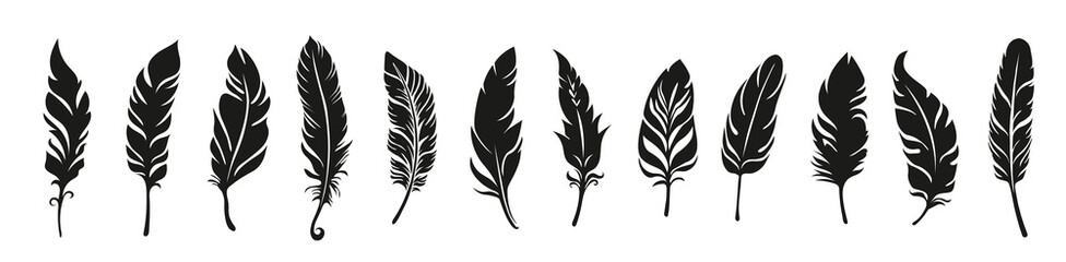 Different vector bird feather silhouettes. Plume collection.
