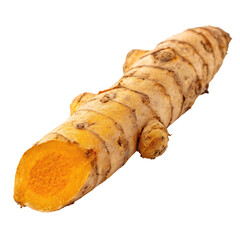 Whole turmeric root on transparent background