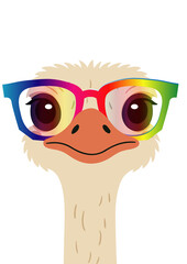 Fröhlicher Strauß mit bunter Regenbogenbrille. Der lustige Blick und die farbenfrohe Brille machen das Tiermotiv zum charmanten Hingucker.