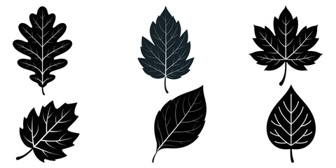 green leaf icons set, Set of green leaf icons. Green color. Leafs green color icon logo. Leaves on white background. Ecology. Vector illustration, Leaves Icon - Vector Stock Illustration. Leaf Shapes 