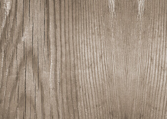 wood texture background