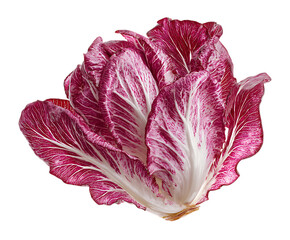 Obraz premium Elegant Radicchio leaf texture bold and crisp