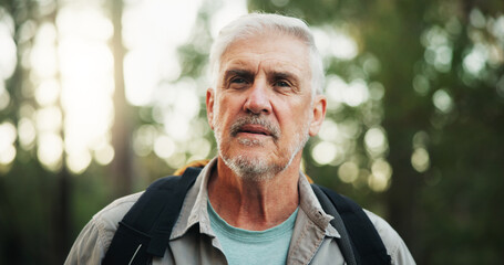 Serious, hiking and senior man in forest, journey and adventure in nature, traveller or retirement. Backpacking, outdoor and elderly person on holiday in woods, trekking or exploration of environment