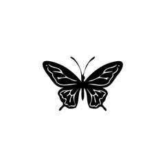 Elegant butterfly silhouette with ornate wing details against a stark white backdrop