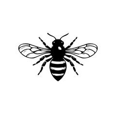 Striking depiction of a bee in monochrome showcasing distinct body segments