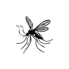 Stylized depiction of a mosquito in black and white ink drawing style