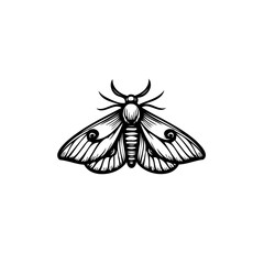 Intricate moth illustration showcasing detailed line work and symmetrical design