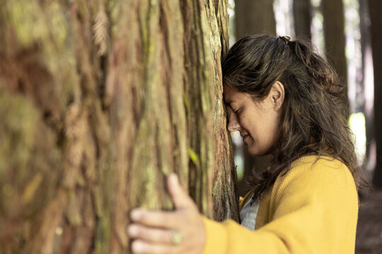 Woman Embracing Tree in Forest Expresses Connection to Nature