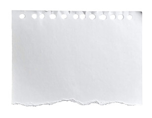 Torn paper with distressed edges and a textured perfect scrapbook isolated cut out on transparent png