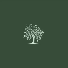 Willow tree logo in graceful and minimalist illustration style.