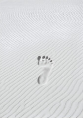 Foot print in the sand