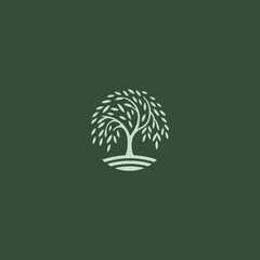 Willow tree logo in graceful and minimalist illustration style.