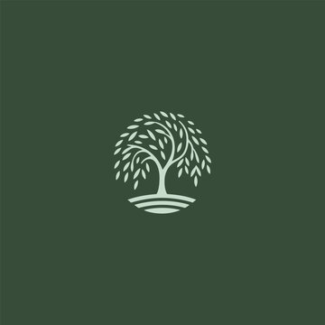 Willow tree logo in graceful and minimalist illustration style.