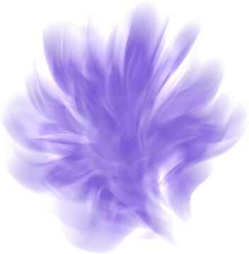 blurred gradient abstract purple flower
