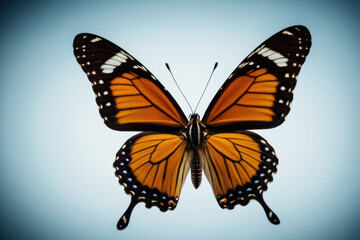 Obraz premium A butterfly soaring through the clear blue sky