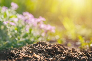 mixed background with a focal line on fertile land and purple flowers in the background on a sunny day