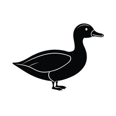 king eider waterfowl bird silhouette