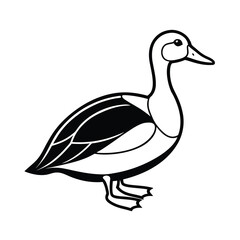 duck vector illustration