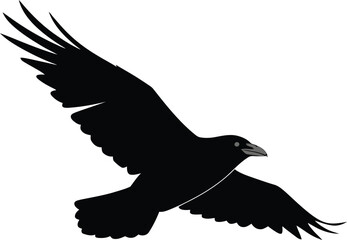 Minimalist Crow Vector Design