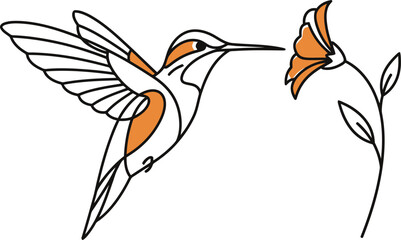Minimalist Hummingbird Vector