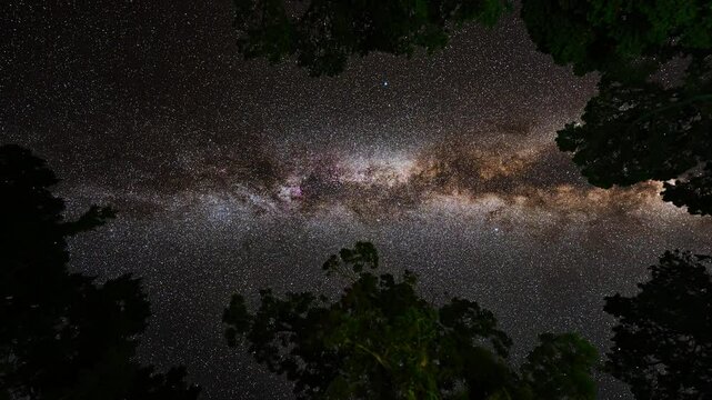 Bright Milky Way night sky full of stars time lapse over forest