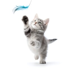 Tabby Kitten Playing: Cute Cat Reaching for Feather