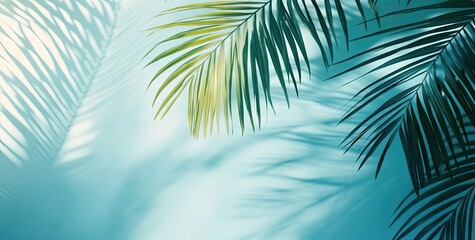 A serene tropical scene showcasing lush palm leaves with a soft blue tint. creating a calming atmosphere. perfect for backgrounds in relaxation or travel themes