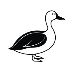 king eider waterfowl bird silhouette