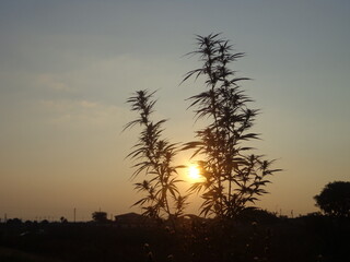 sunset in the mountains