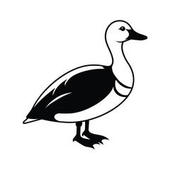 king eider waterfowl bird silhouette
