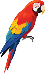 Minimalist Macaw Vector Design