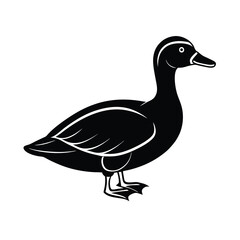 king eider waterfowl bird silhouette