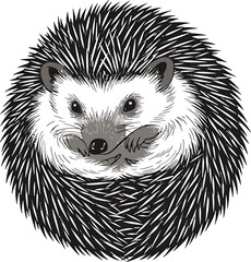 Minimalist Hedgehog Vector