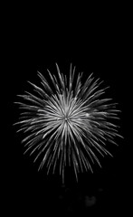 Monochrome Fireworks: A Dramatic Burst of Light