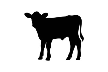 Black silhouette of a young calf standing profile