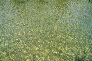green water surface