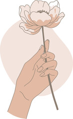 Hand Holding Blooming Flower Vector