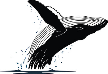 Whale Breaching Vector Design © Tharindu