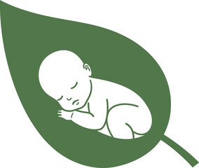 Sleeping Baby in Leaf - Minimalist Vector