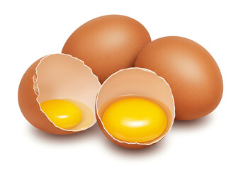 Lifelike broken brown eggs with glossy yolk on a minimalist background, suitable for cooking illustrations.